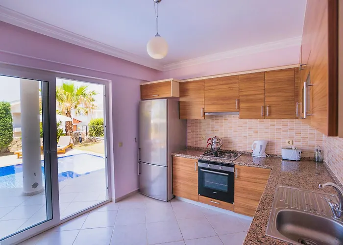 Hanel Life Royale 15 With Private Pool 别墅 费特希耶