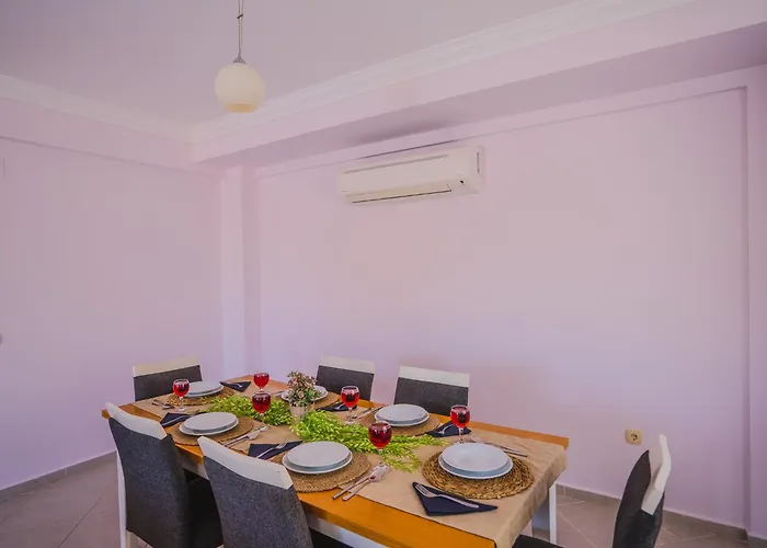 Hanel Life Royale 15 With Private Pool 别墅 费特希耶